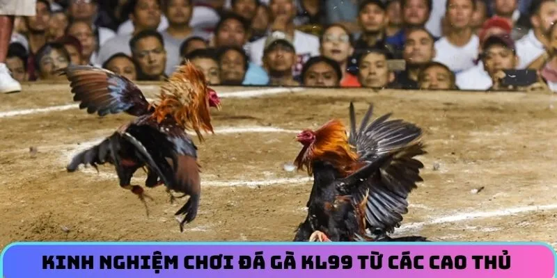 da-ga-kl99-kinh-nghiem