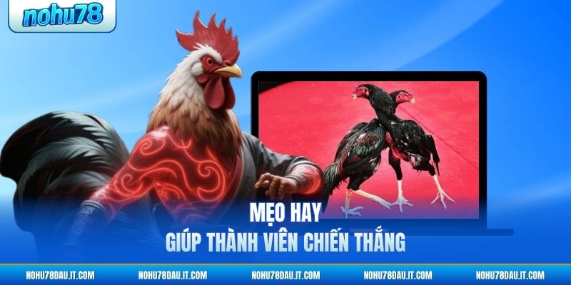 meo-hay-giup-thanh-vien-chien-thang (1)