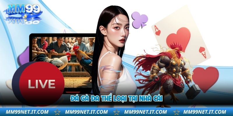 da-ga-da-the-loai-tai-nha-cai