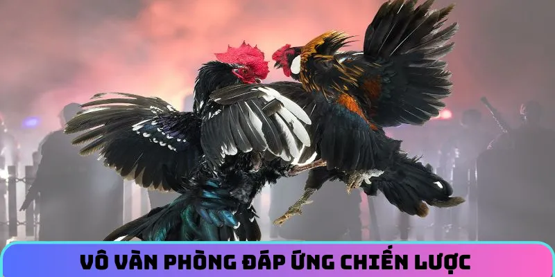 da-ga-6ff-vo-van-phong